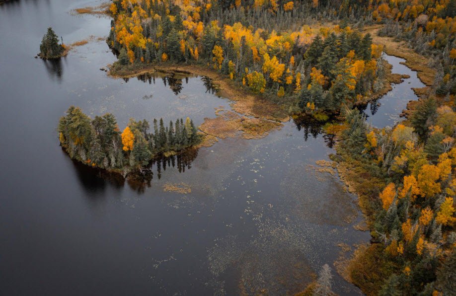 Superior National Forest, Minnesota, USA